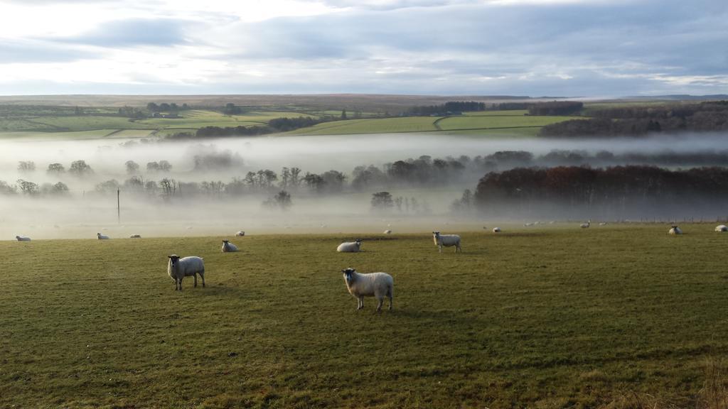 فندق Redesdale Arms أوتيربيرن المظهر الخارجي الصورة